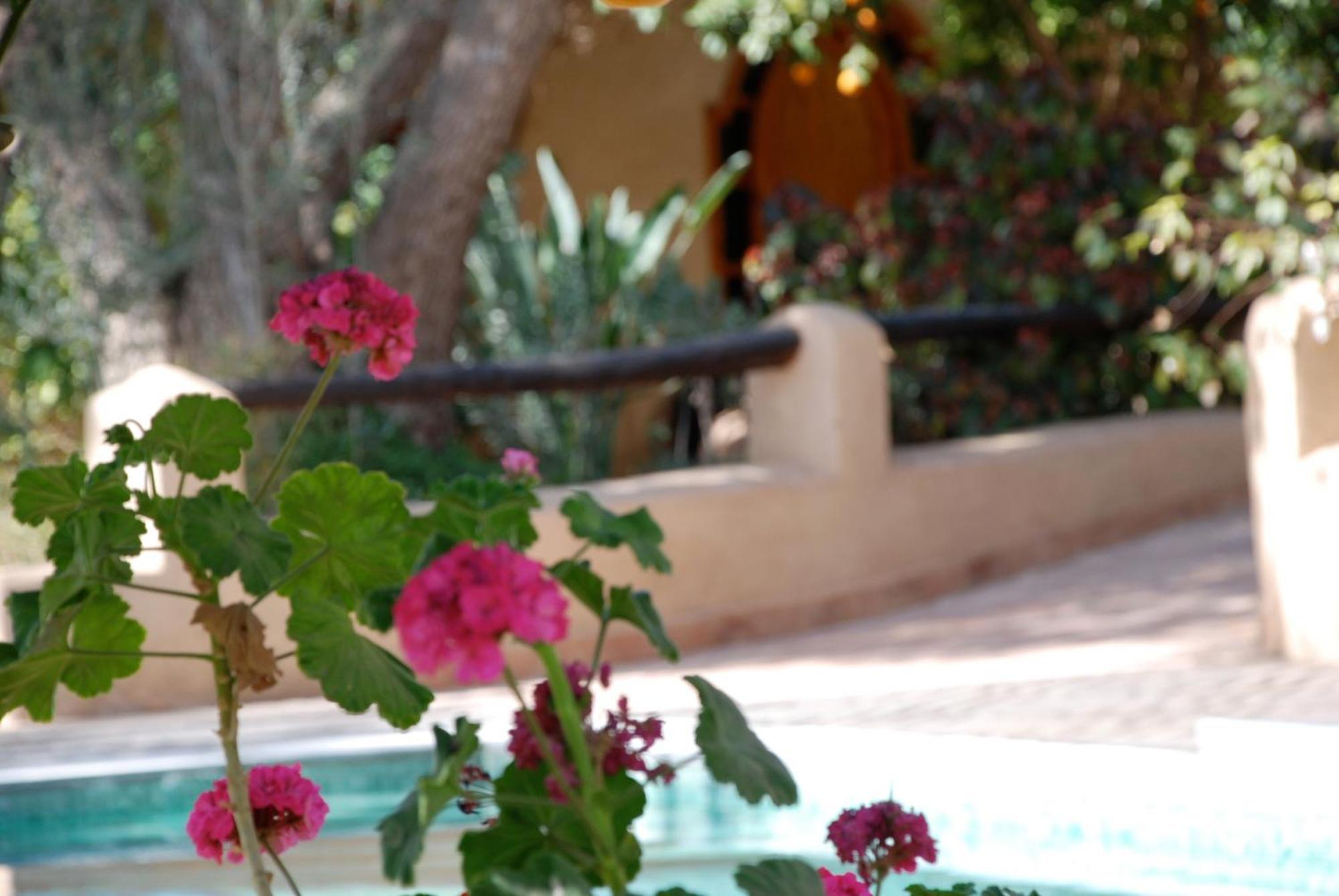 Hotel Dar Zitoune Taroudant Exterior photo